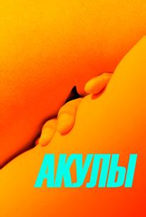 Акулы