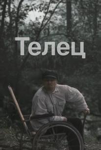 Телец