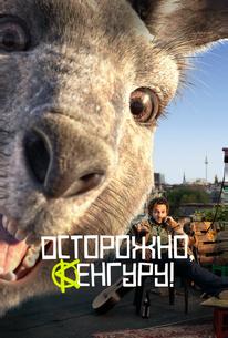 Осторожно, Кенгуру!