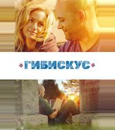 Гибискус