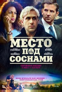 Место под соснами