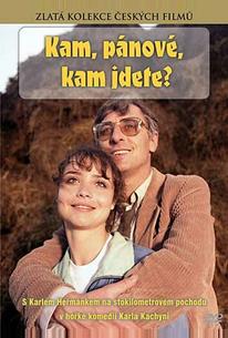 Куда, товарищи, куда идете?