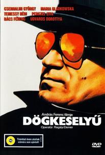 Кондор