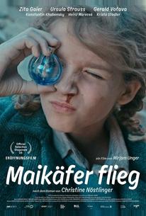 Лети, майский жук!