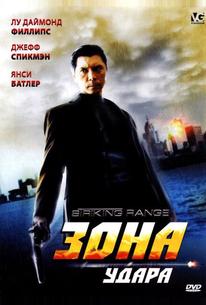 Зона удара