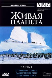 BBC: Живая планета