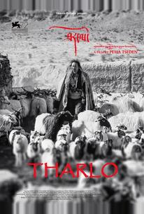 Тарло