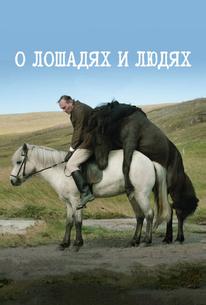 О лошадях и людях