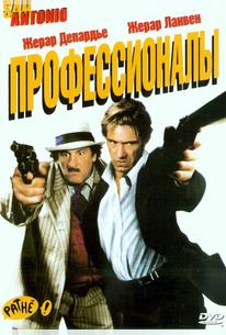 Профессионалы